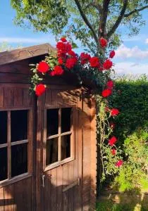 Una piacevole oasi di benessere nei vostri viaggi - Cimitile