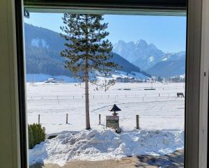 Appartement Twin Peak Edelweiss