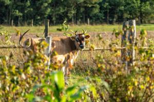 Zajazd Tusinek Grzegorz Winiarek