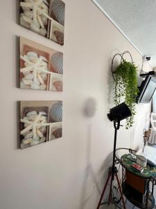 Playa y Descanso Chic