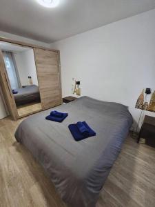 Appartements CALME et COSY - proche Orly : photos des chambres