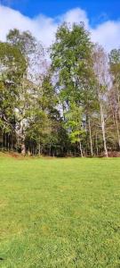 Casa Illahuapi - Lago Ranco