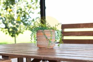 Mas de Felip - Casa rural con piscina privada en el Delta - Deltavacaciones