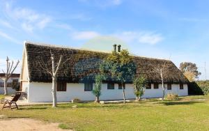 Barraca típica del Delta, con piscina, jardín y barbacoa - Deltavacaciones