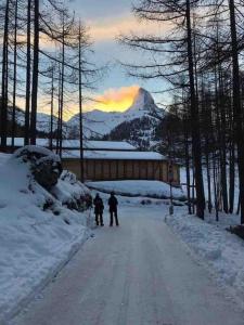 Modern Zermatt apartment with Matterhorn view