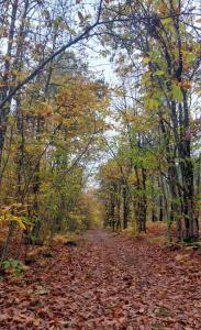 Maison de Campagne avec Piscine, Vallée de la Loire