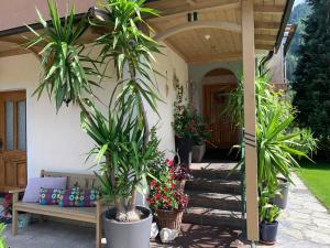 Appartement Brandner