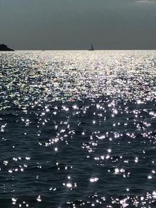 FAMILY APARTMENT ZRNKA s besplatnim parkingom