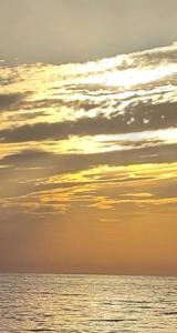 FAMILY APARTMENT ZRNKA s besplatnim parkingom