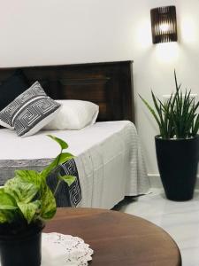 Ibeeza Motel - Bathigama