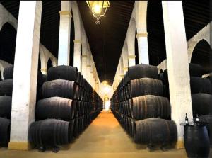 Casa en Jerez con patio cerca de la playa y de la sierra