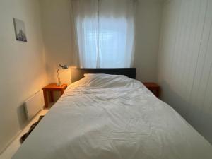 Gardermoen House