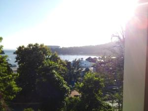 The Beauty of samana