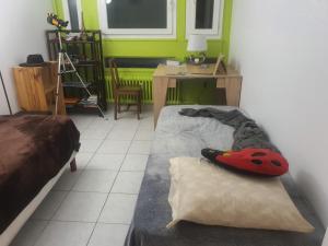 Appartements Full S+2 quiet, view, light : photos des chambres