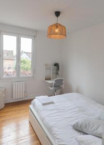 Appartements Spacieux Appart Coeur de Ville-Cathedrale a 100m : photos des chambres