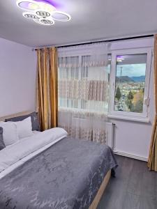 Panoramic Central Apartment