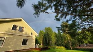 Villa SinettäStar-- Traditional Lapland Chalet