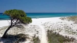 Le residenze del mare monolocale 2 img26