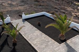 Delmar Natur - Gallo