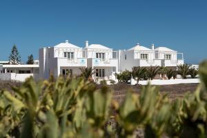 Delmar Natur - Gallo