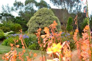 Maisons d'hotes Chambres d'Hotes Le Nid d'Iroise : photos des chambres