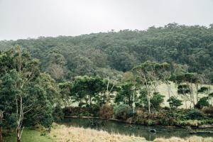 River House - Wildlife at your doorstep