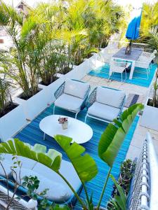 kookaburra Down Under Coogee Beach