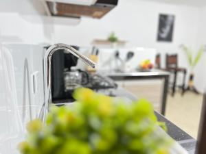 Descansa sin ruido a pasos del centro y del Museo Rayo