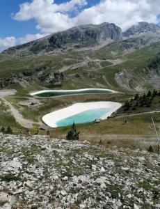 Appartements Bois d'aurouze superdevoluy pied des pistes 6 couchages : photos des chambres
