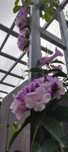 Diez Dregger Fully Furnished Apartments