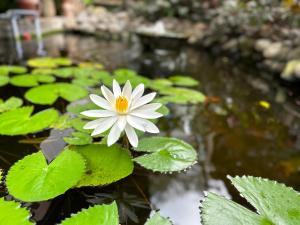 Bale Asri Bukit Jimbaran