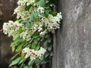 Bale Asri Bukit Jimbaran