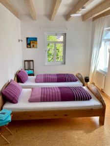 Haus Aurelia
