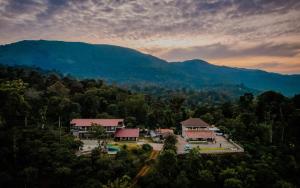 The Odyssey Coorg