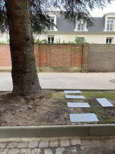 Superbe T3 en centre-ville et facile daccès