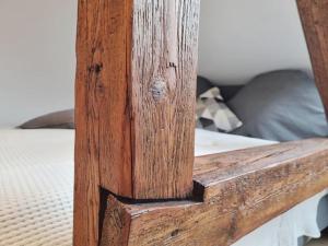 Große familienfreundliche Wohnung in Dresden