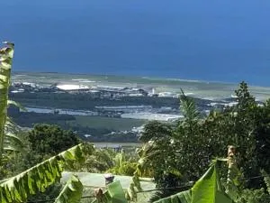 Cool Home - 萨拉济