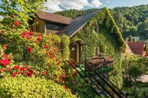 Dom "Pod Górkami" - Lesnica