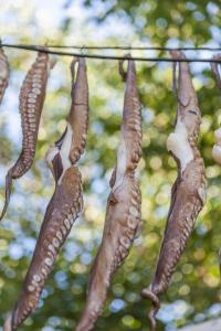 Gorgeous Mykonos Villa 12 Bedrooms Villa Nova Light Private Pool