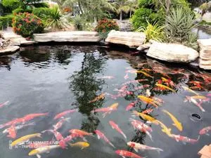 Villa Oceanami 3 phòng ngủ giá tốt - Ấp Lò Gốm