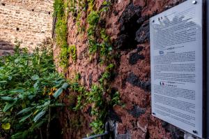 Il Giardino di Aci by Wonderful Italy