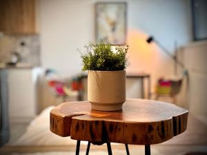 Horský apartmán Kvilda