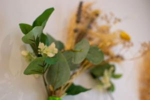 Logis des Barques YourHostHelper