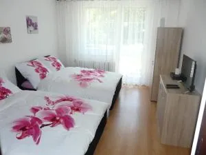 Apartment Fialka - Olomouc