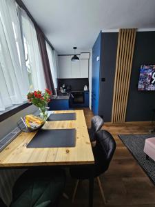 Apartament Leszczyńska 29 - cicho, blisko centrum, idealny na rower i narty