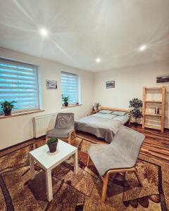 Apartament 5 minut od Parku Zamkowego