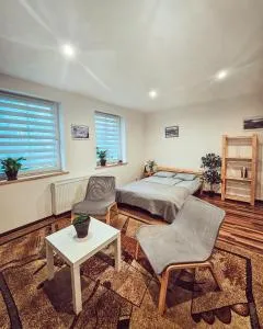 Apartament 5 minut od Parku Zamkowego - Brzeźce