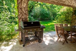 Villas VillaOustal. Parc Arbore 4500 m2. Piscine chauffee. : photos des chambres