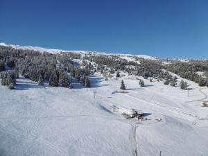 Appartements Studio chaleureux - 4 pers, proche pistes, Wifi, parking, animaux acceptes - FR-1-525-269 : Appartement