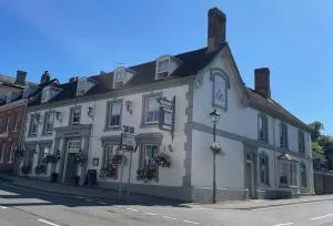 The Swan Hotel, Alresford - 温彻斯特